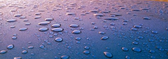 How to Save Water, Money and Time