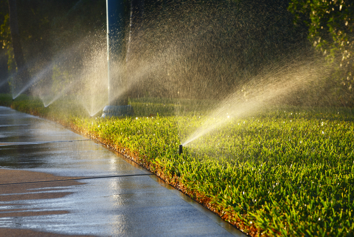Choosing the Right Sprinkler Heads for Your Landscape - HydroPoint