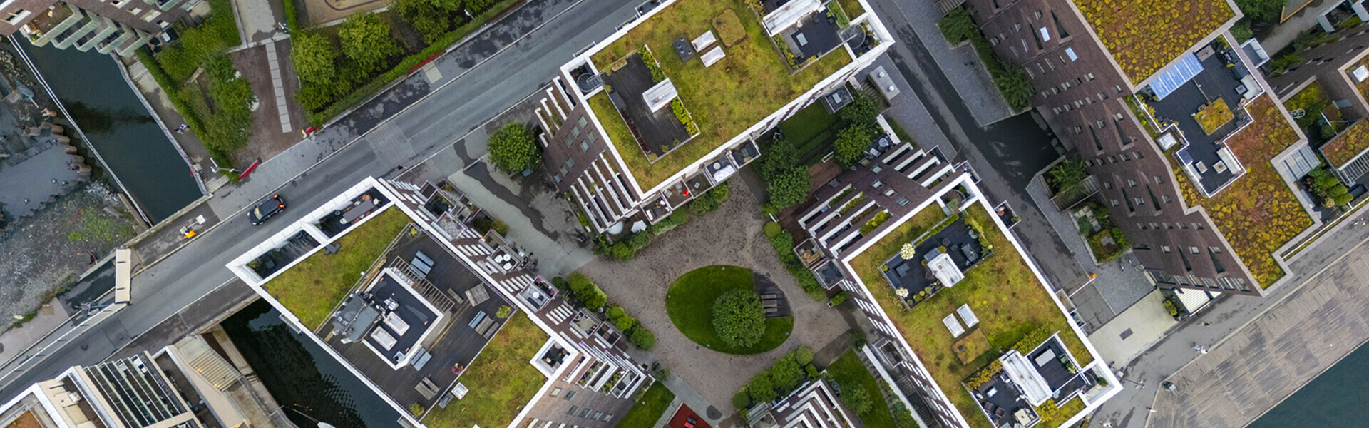 Green-roof