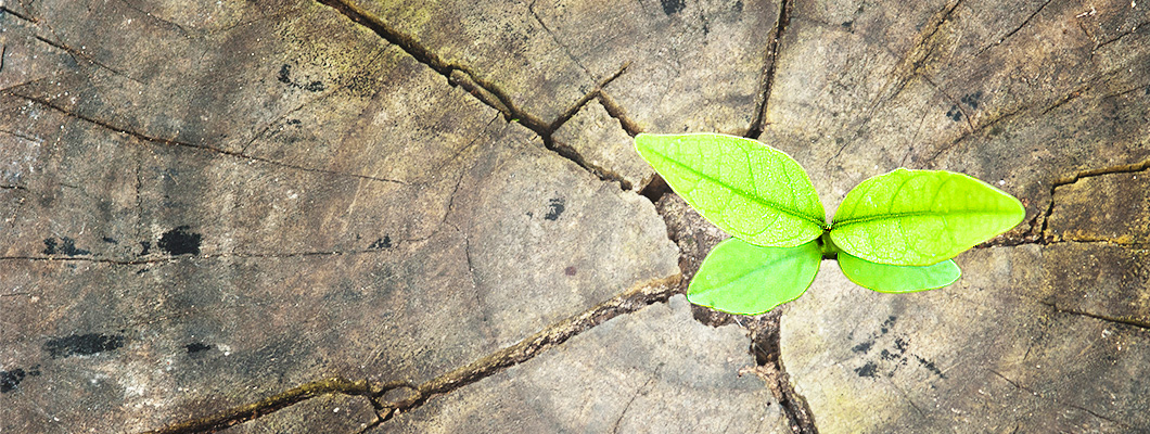 Resilience is the New Sustainability