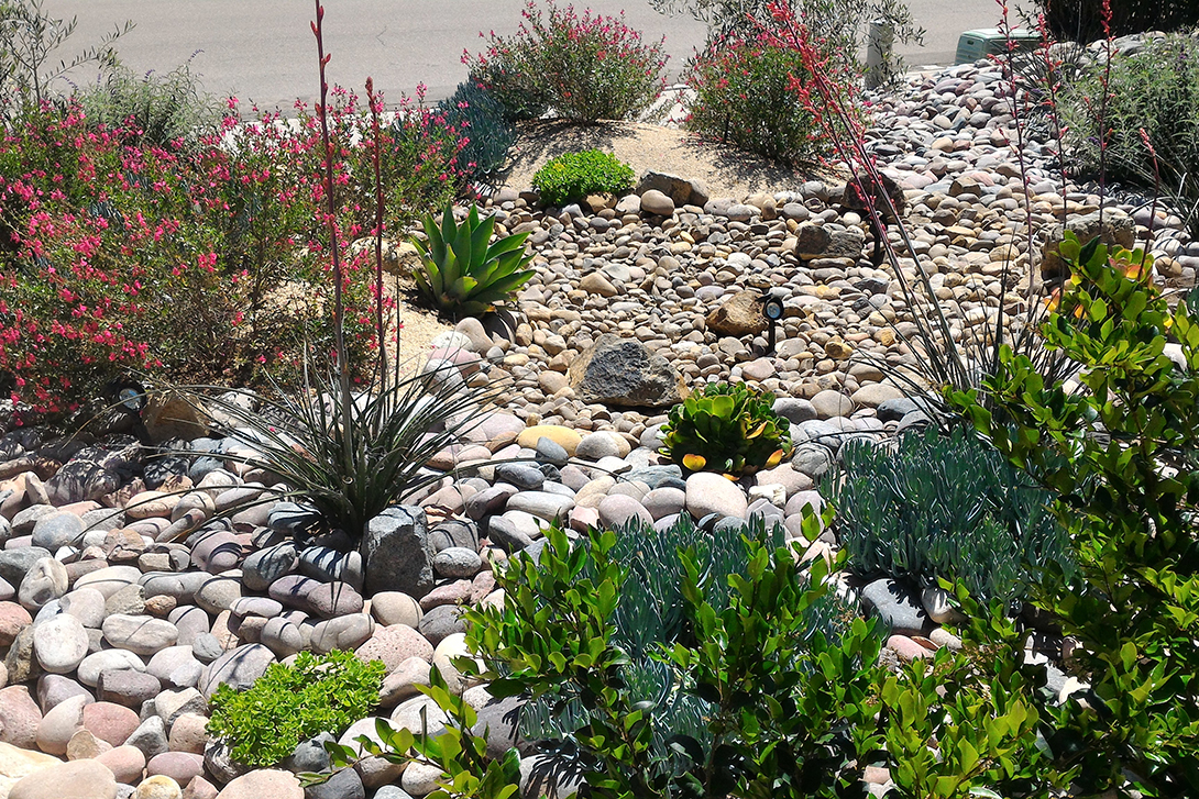 way to conserve water - drought tolerant landscape