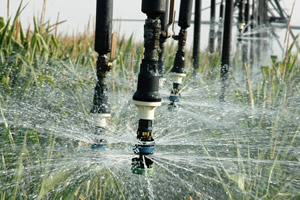 Irrigation System