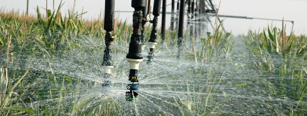 Irrigation System