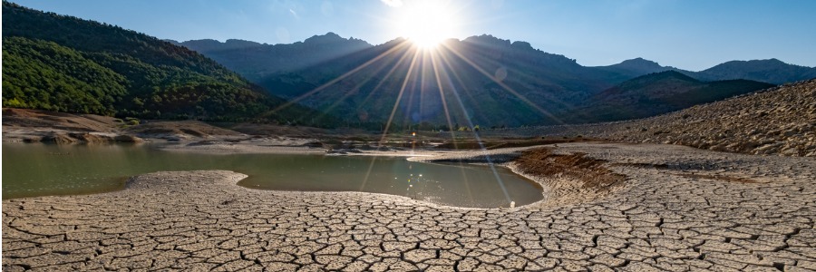 Moss can be a temporary problem following drought or waterlogging